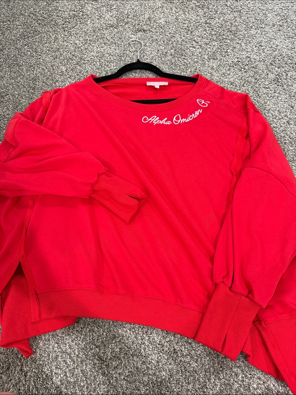 Alpha Omicron Pi Red Crewneck Sweatshirt